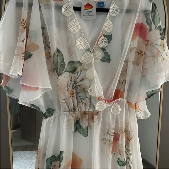 Farm Rio Sheer Dress - Picture 5 of 6